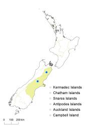 Cardamine pachyphylla distribution map based on databased records at AK, CHR, OTA & WELT.
 Image: K.Boardman © Landcare Research 2018 CC BY 4.0